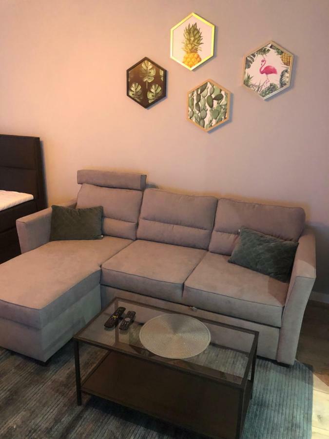 Apartament Flaming Z Balkonem - Scisle Centrum Naprzeciwko Pkp I Pks - Self Check In - Darmowy Parking - Pozne Wymeldowanie - Wystawiamy Fv Opole Luaran gambar